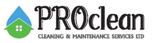 The Proclean – The pro clean web site